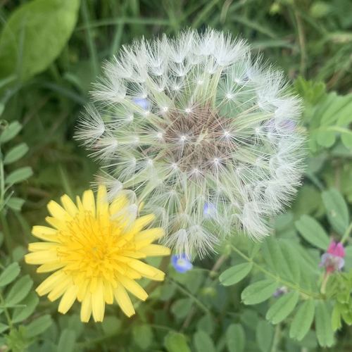 战疫日记武汉第五十八天3 战疫日记武汉第五十八天3