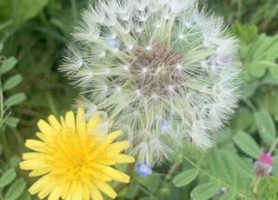 战“疫”日记：本想去“海洋”，一不小心误入“森林”