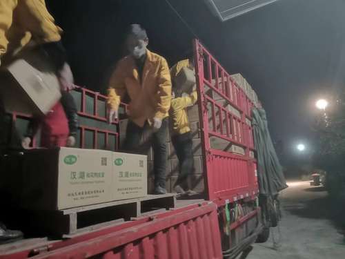 天湖公司员工夜班作业服务养殖户 天湖公司员工夜班作业服务养殖户