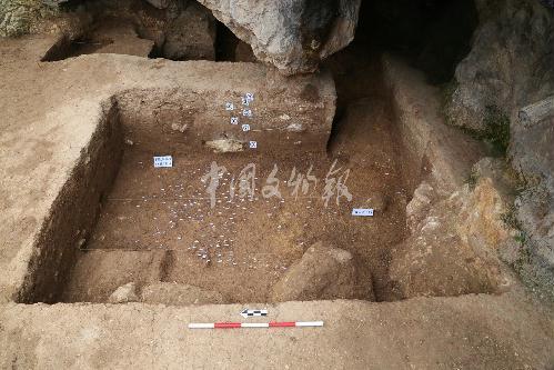 疥疙洞遗址第8层遗物分布 点击进入下一页