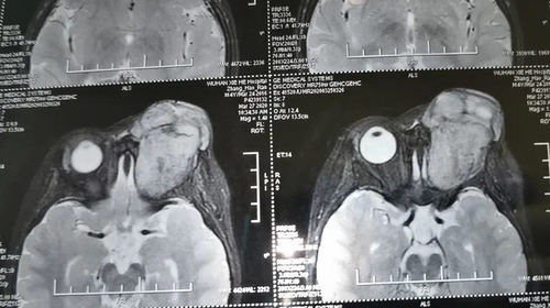 孙丰源1 孙丰源1