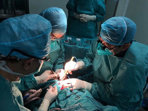 孙丰源2 孙丰源2