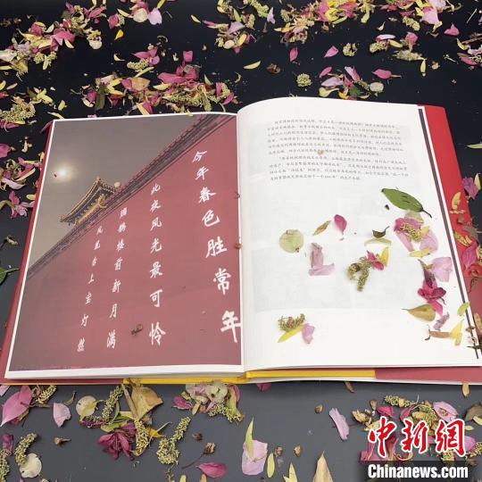 点击进入下一页