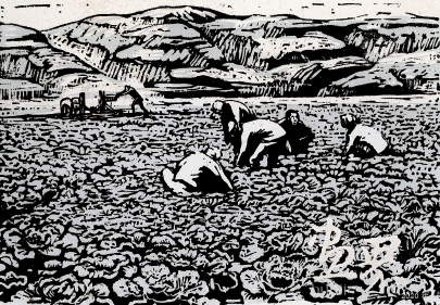 菜-园(套色版画)1943年-古-元 菜-园(套色版画)1943年-古-元