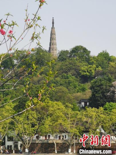 杭州保俶塔重新开放 西湖景区岳庙管理处供图 摄 杭州保俶塔重新开放 西湖景区岳庙管理处供图 摄