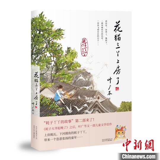 《花猫三丫上房了》 十月 摄 《花猫三丫上房了》 十月 摄