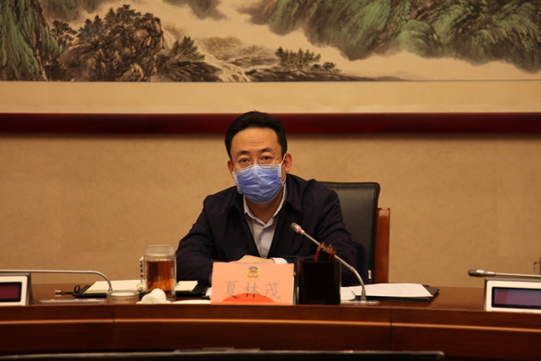 区委书记夏林茂讲话