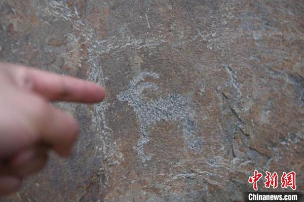 萌态可掬的山羊、鹿、牛等动物，以及佛殿、佛像、佛塔、藏文题刻都成为创作题材?！⊙钛廾?摄