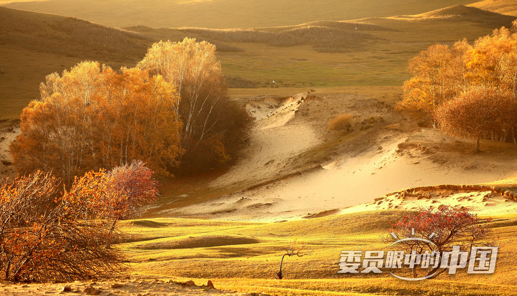 坝上金秋
