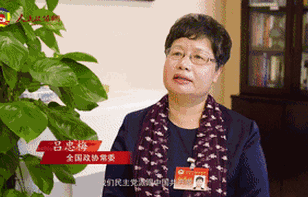 什么是最中国的民主？