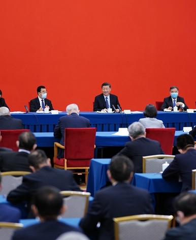 习近平看望参加政协会议的经济界委员