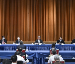 汪洋与民革、台盟、台联界别政协委员共商国是