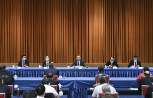 汪洋与民革、台盟、台联界别政协委员共商国是