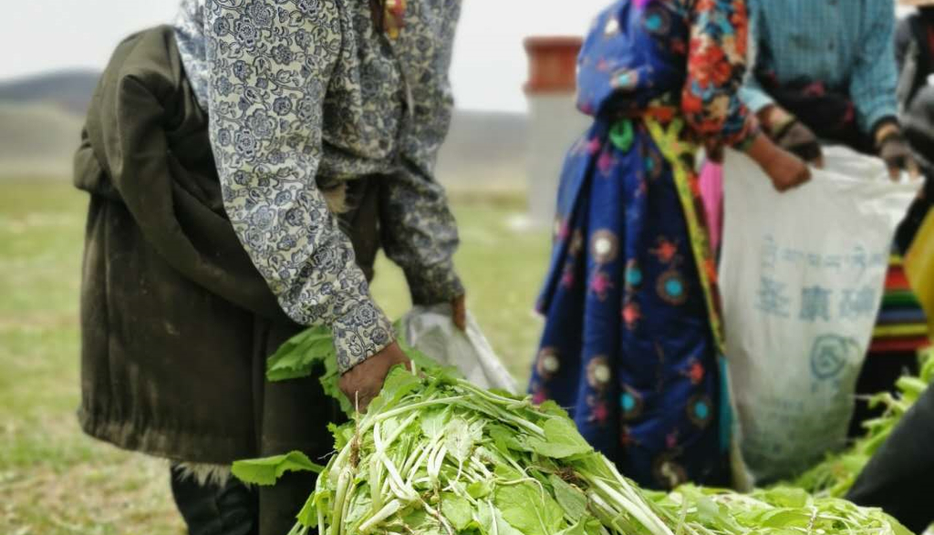 自力更生获丰收，解放思想转观念