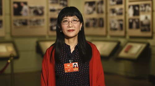 全国政协委员、北京大学第一医院儿科教授丁洁_副本