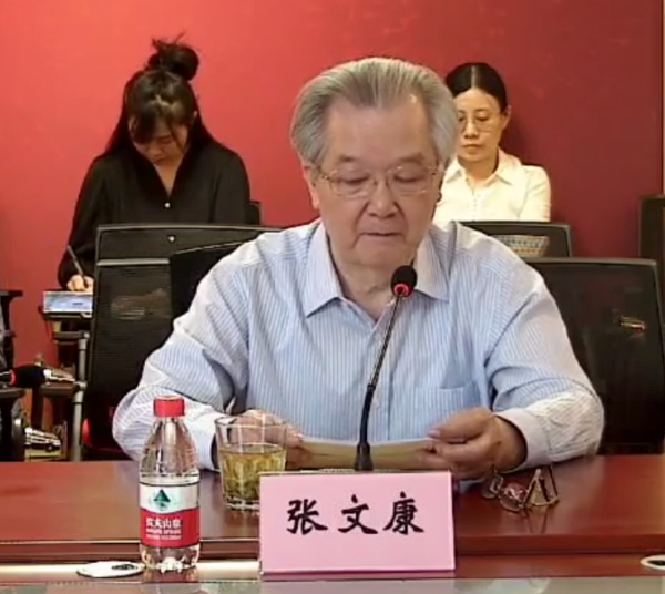 张文康会长进行总结发言 张文康会长进行总结发言