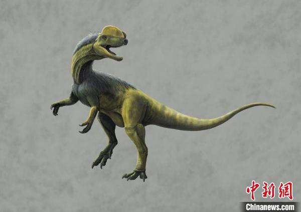 图为卡岩塔足迹造迹者中国龙复原图(绘图：韩志信-北京小天下)。重庆市规划和自然资源局供图