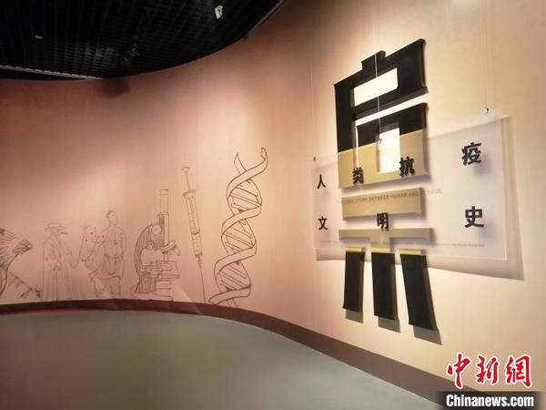 “启示--人类抗疫文明史”展4日在辽宁省博物馆进行。　李晛 摄