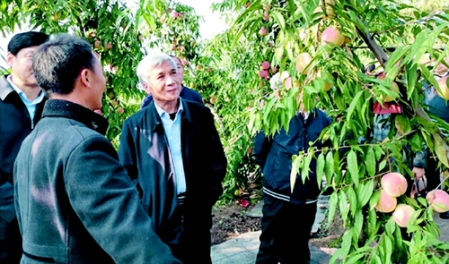 2019年10月18日至19日，全国人大常委会副委员长、民盟中央主席丁仲礼一行赴河南焦作开展脱贫攻坚民主监督调研活动。