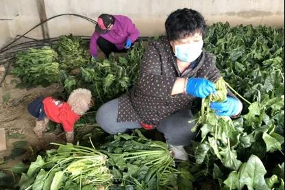 微信图片_20200617111653 微信图片_20200617111653