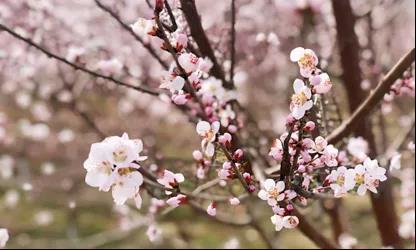 微信图片_20200617111707 微信图片_20200617111707