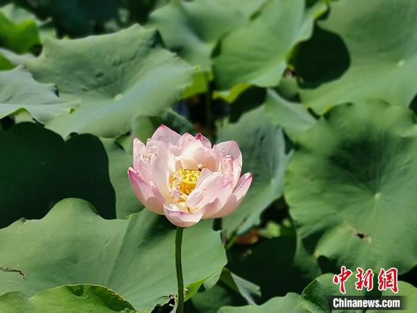 点击进入下一页