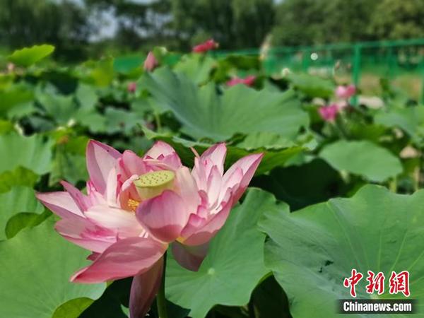 点击进入下一页