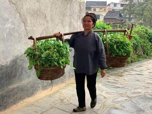 微信图片_20200715093631 微信图片_20200715093631