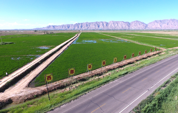 B20200717001-zx6 B20200717001-zx6