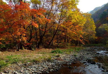 绿水青山成了绿色银行