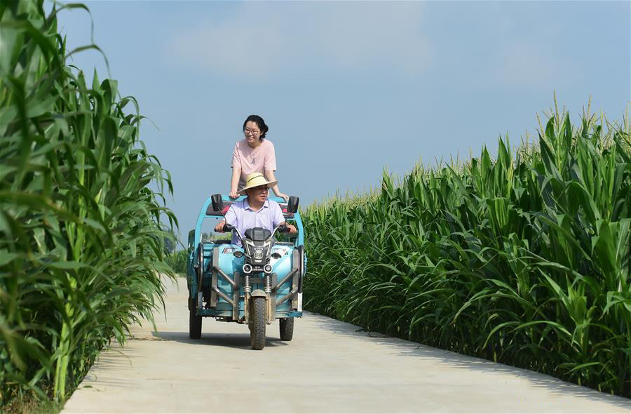 暑假，去爸爸的扶贫村