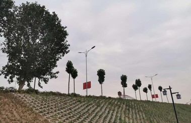 李姿霖：《从泥泞小路走出来的小康与大同》