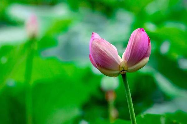 微信图片_20200821074646