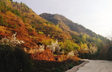 钱浩然:《我走在祖国的路上》