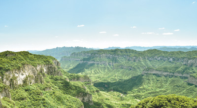 1598384423295_1 1598384423295_1