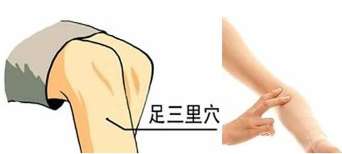 图片来源于网络1 图片来源于网络1