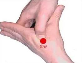 图片来源于网络2 图片来源于网络2