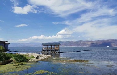 常丹：《跛脚的母亲》