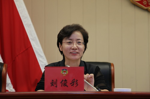 刘俊彩副区长讲话