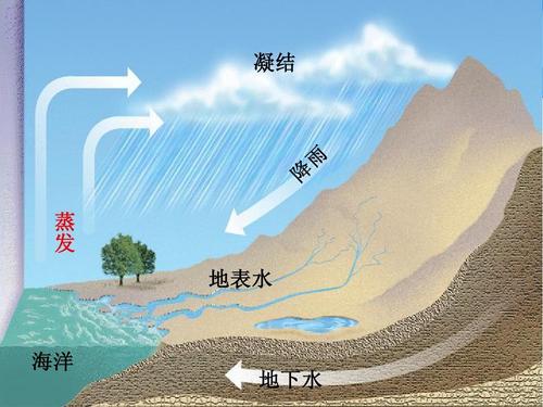 C20200910003-zx5 C20200910003-zx5