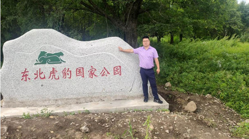 东北虎豹公园摄影图 东北虎豹公园摄影图