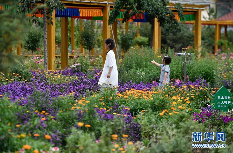 德吉村：黄河岸边的美丽嬗变