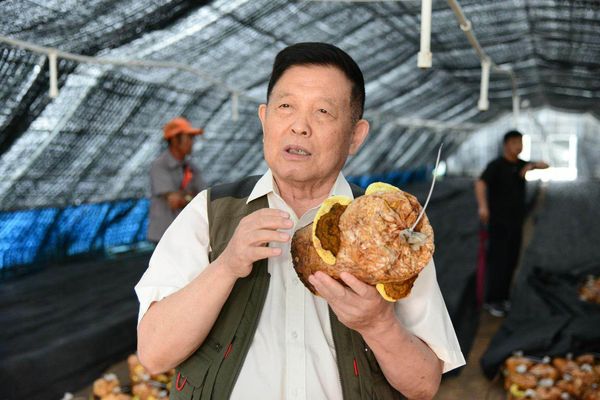 微信图片_20200928144524 微信图片_20200928144524