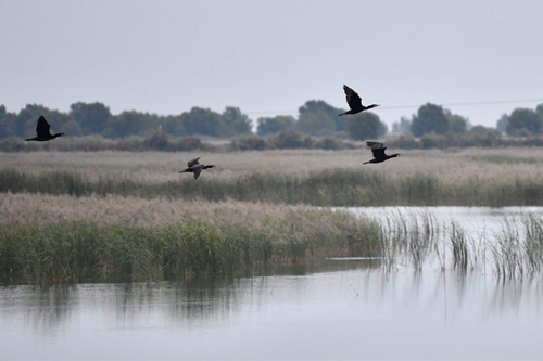 微信图片_202010141321021 微信图片_202010141321021