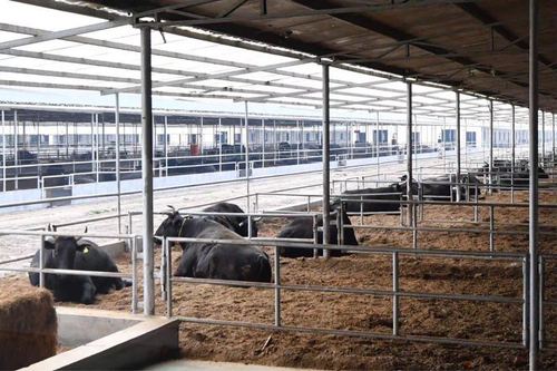 微信图片_202010141354213 微信图片_202010141354213