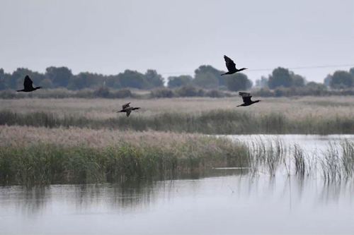 微信图片_202010141354214 微信图片_202010141354214