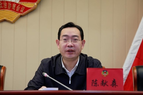 区委常委、副区长陈献森在会上讲话