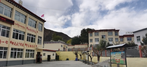 C20201111001-zx10 C20201111001-zx10