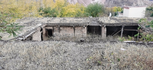 C20201111002-zx10 C20201111002-zx10