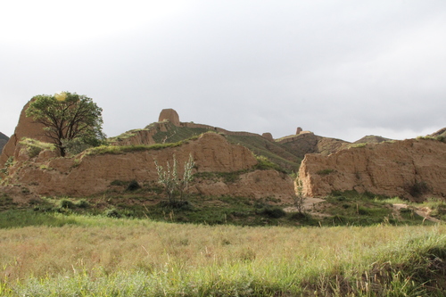 C20201112004-zx12 C20201112004-zx12